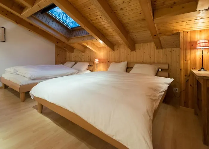 Sunny And Spacious In Faigaux In Situated In Quiet Area With Magnificent Mountain Views Appartement *