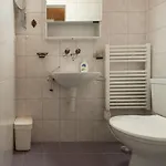 Sunny And Spacious In Faigaux In Situated In Quiet Area With Magnificent Mountain Views Appartamento